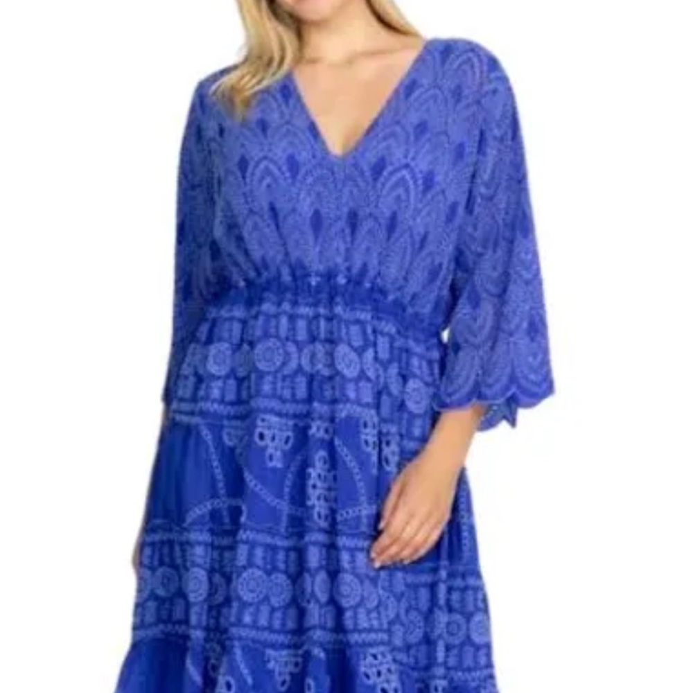 Johnny Was embroidered dress with slip. NWT